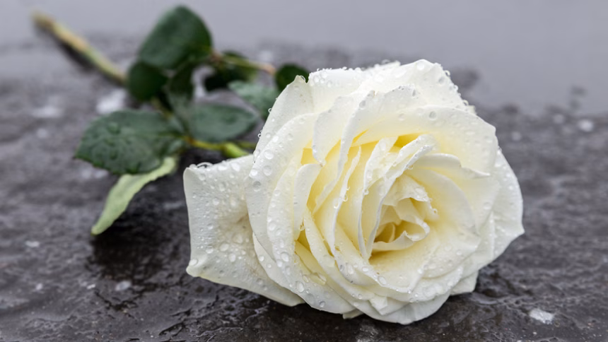 Foto: Pogrebno Budva