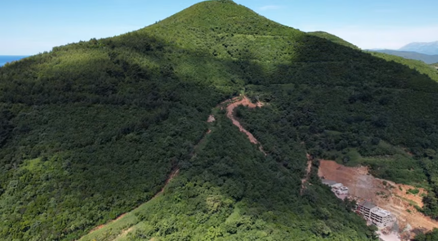 &nbsp; Printscreen/Video, Anđa Budimir/FB&nbsp;&nbsp;