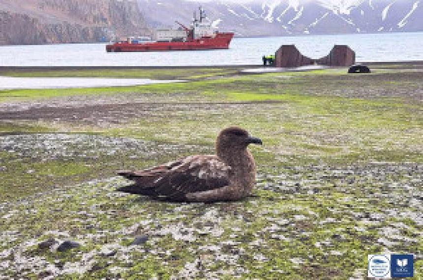 Foto: Insitut za biologiju mora