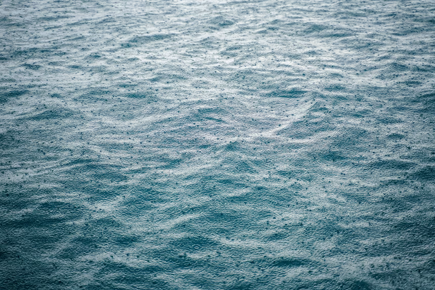 Foto: ilustracija/pexels