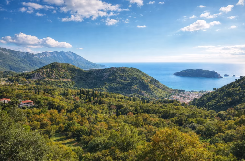 Foto: Printscreen/TV Budva