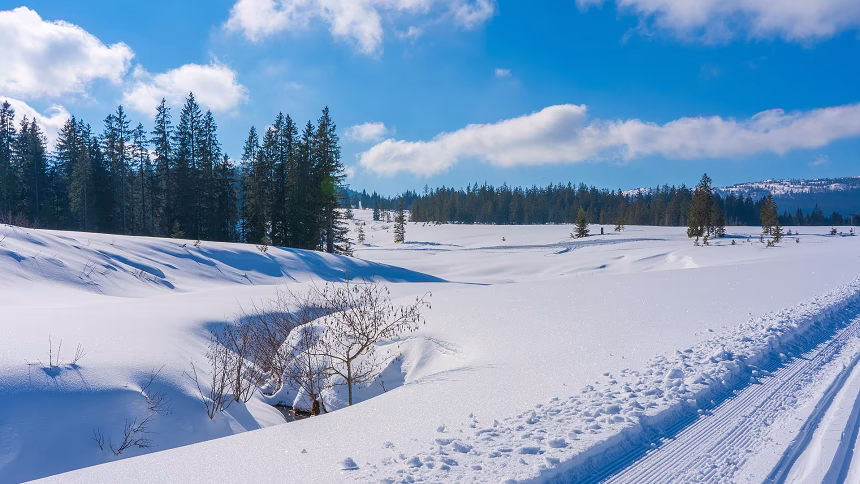 Foto: ilustracija/pixabay