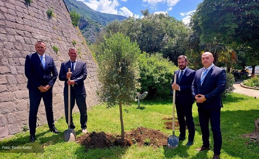 Foto: Radio Kotor
