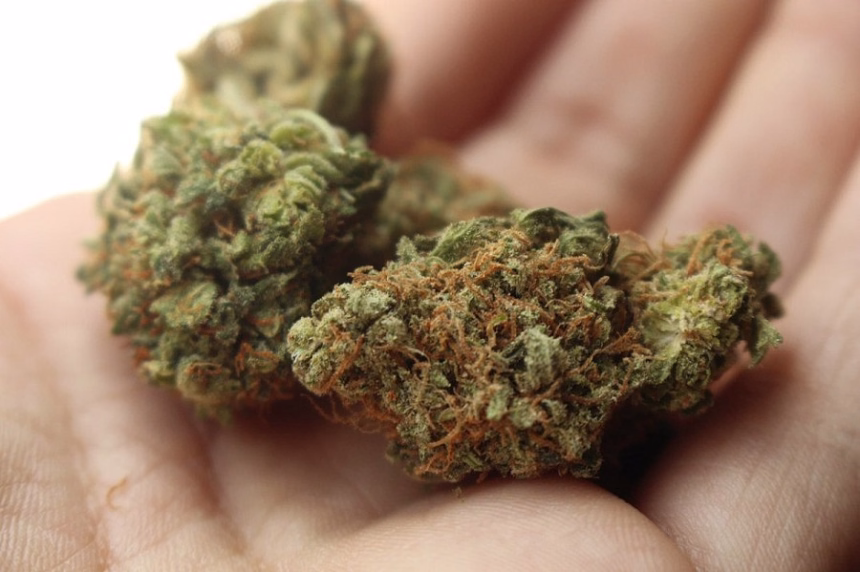 Marihuana (Foto: Pixabay)