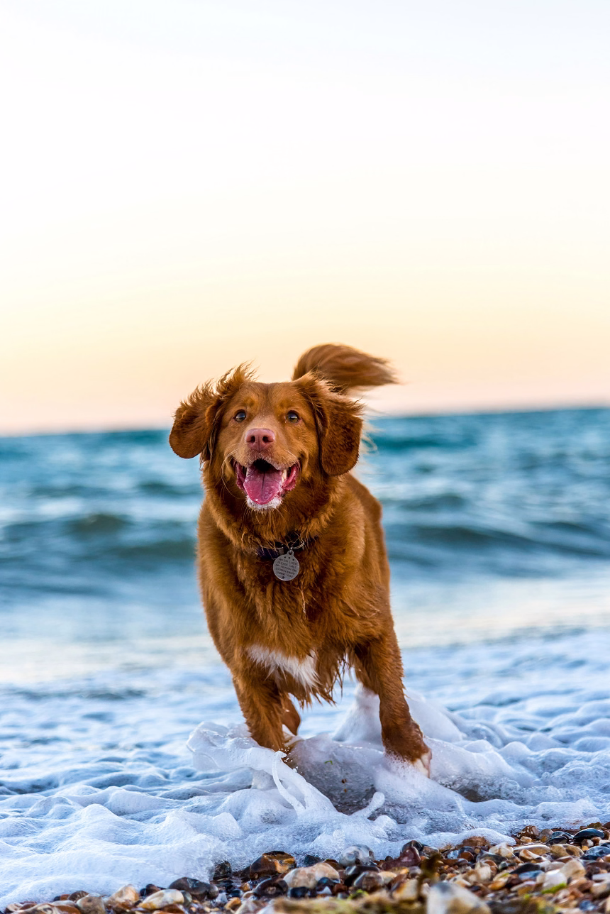 Foto: Oscar Sutton- Unsplash