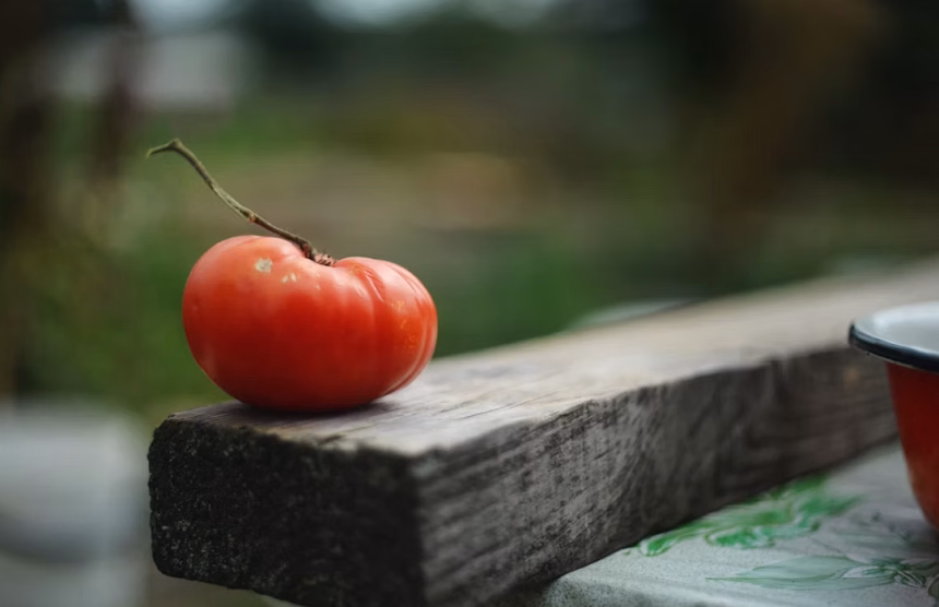 Foto: unsplash