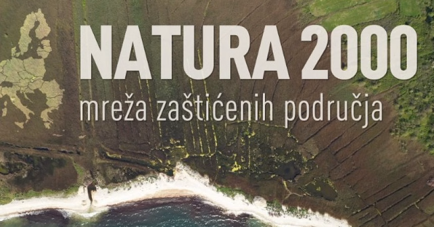 Foto: Screenshot