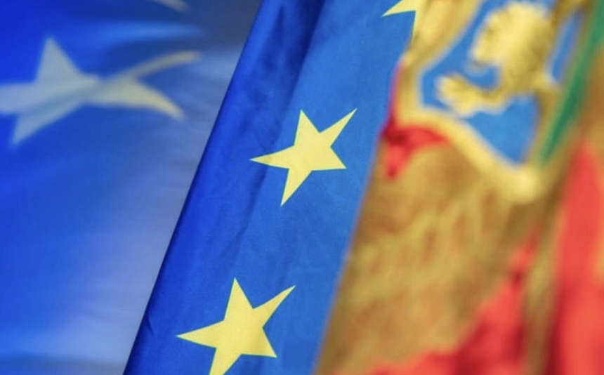 Foto: Screenshot/Delegacija EU u Podgorici