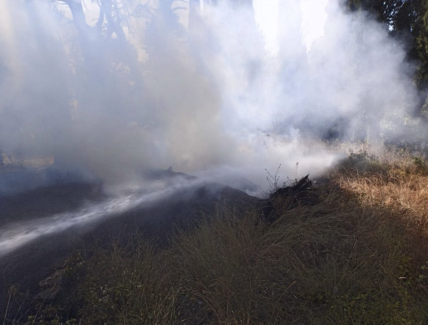 Foto: Screenshot/Radio Tivat