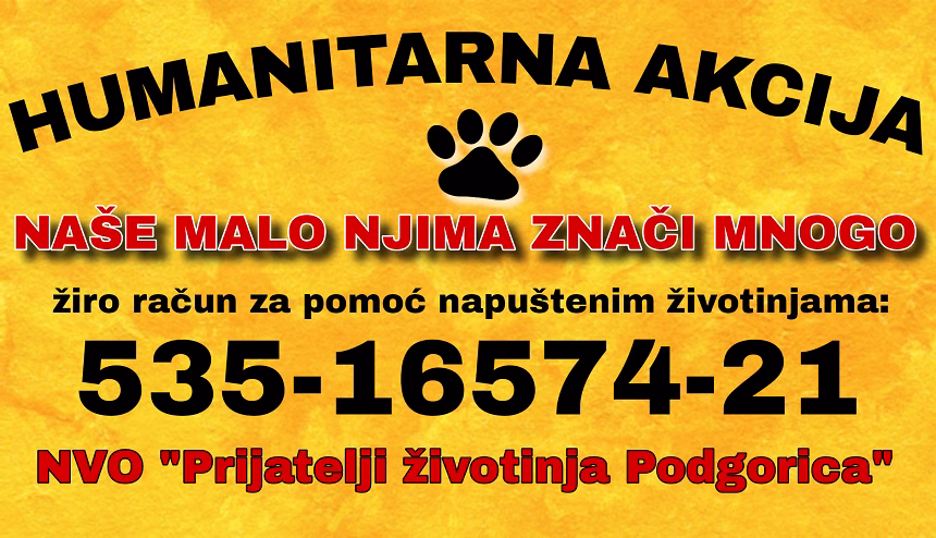 Foto: Nevladina organizacija “Prijatelji životinja Podgorica”