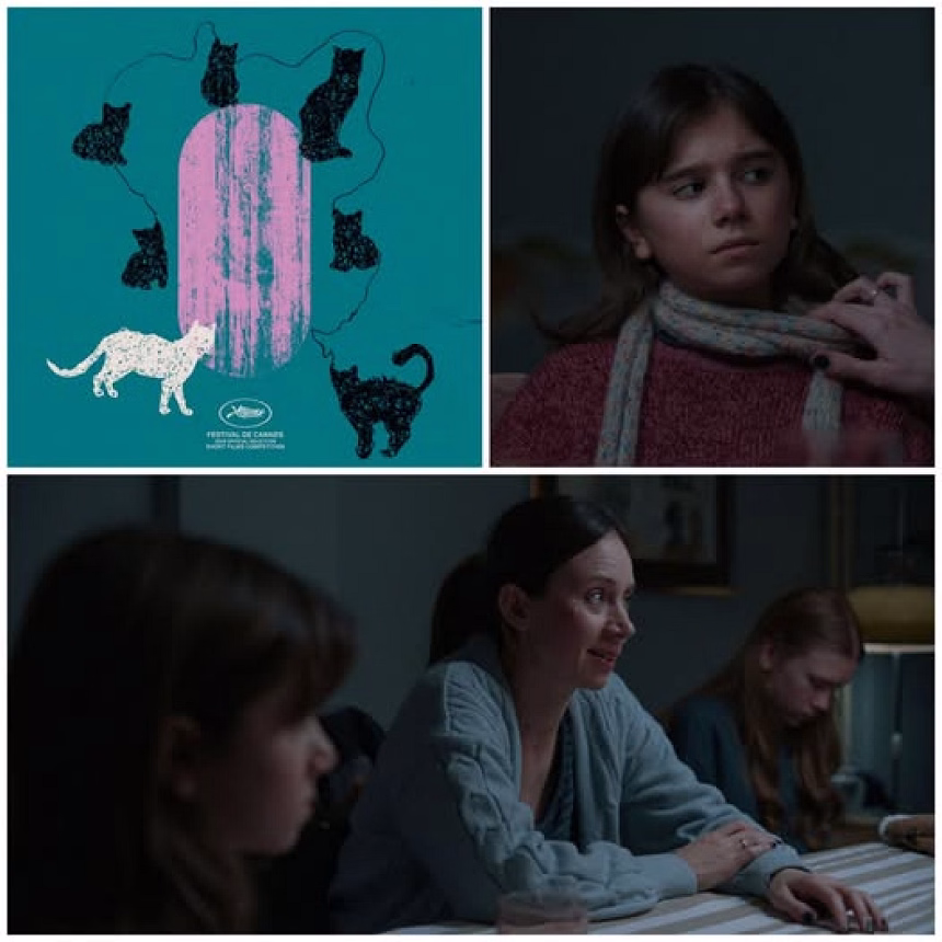 Foto. Novi Val- festival otvara film rediteljke i scenaristkinje Tamare Todorović, „NIKO NIŠTA NIJE REKAO“, koje je premijerno prikazano u ovogodišnjoj selekciji slavnog Kanskog filmskog festivala.