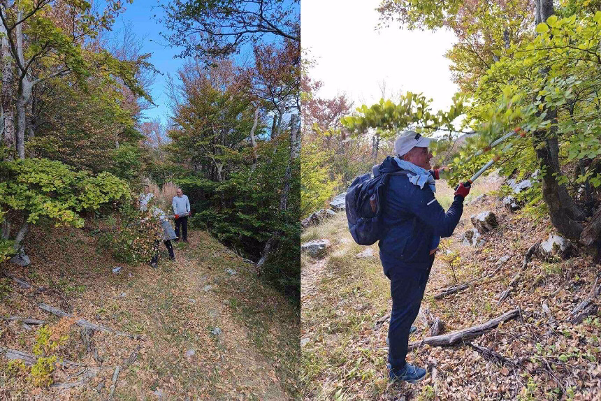 Foto: Božidar Proročić