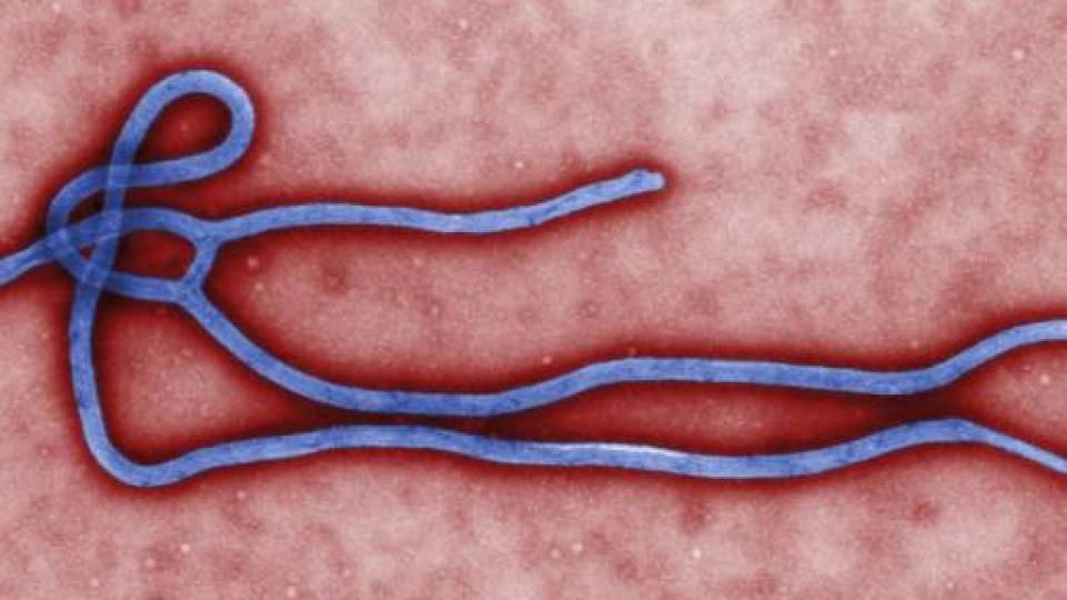 MZ: Putnica iz Nigerije bez simptoma ebole, ali pod nadzorom | Radio Televizija Budva