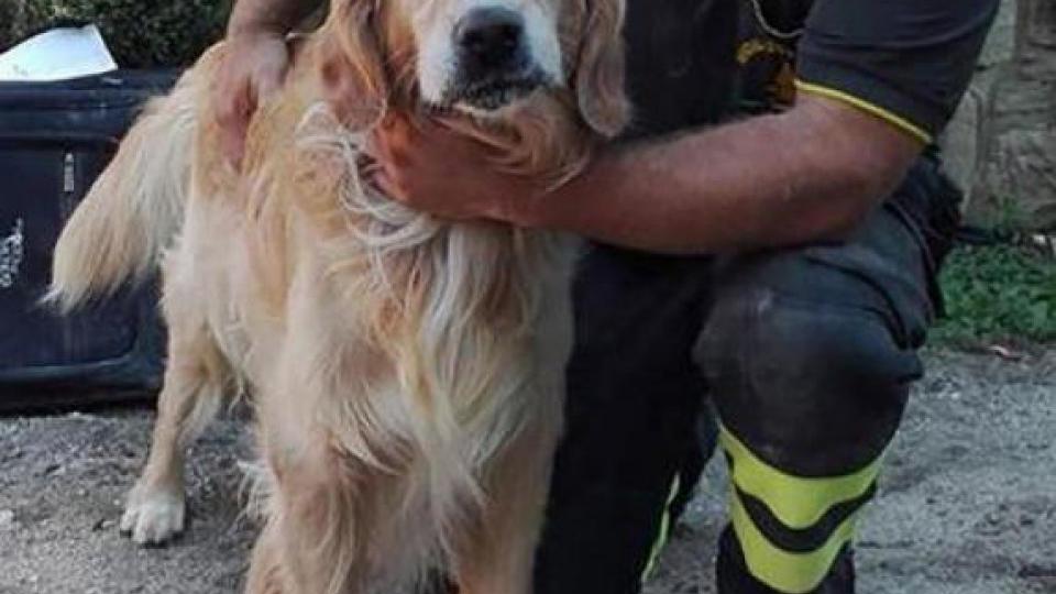 VIDEO: Romeo je preživio devet dana ispod ruševina u Italiji | Radio Televizija Budva