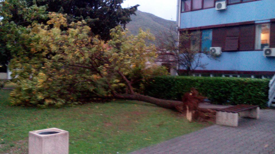 Olujni vjetar pričinio veliku štetu | Radio Televizija Budva