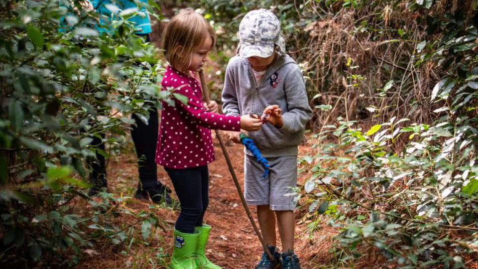 U Hrvatskoj otvoren šumski vrtić: Djeca lutaju prirodom, ne smeta im kiša, ni blato | Radio Televizija Budva