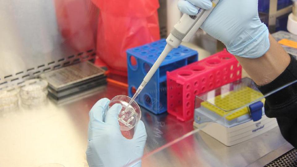 Nova vakcina protiv melanoma potencijalno spremna za dvije godine | Radio Televizija Budva