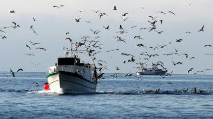 Objavljen poziv za dodjelu sredstava podrške za investicije u ribarstvu | Radio Televizija Budva