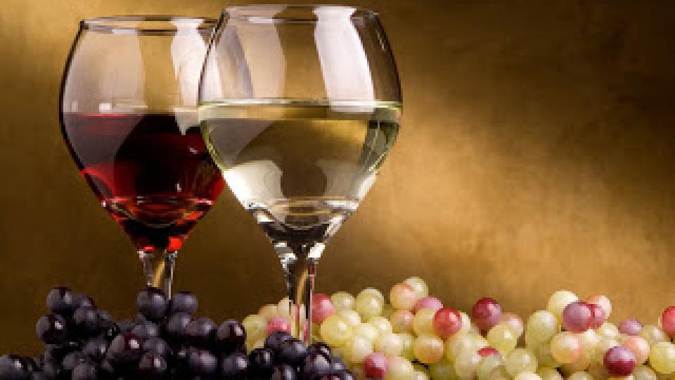 Proizvodnja vina na najvećem nivou u posljednjih pet godina | Radio Televizija Budva