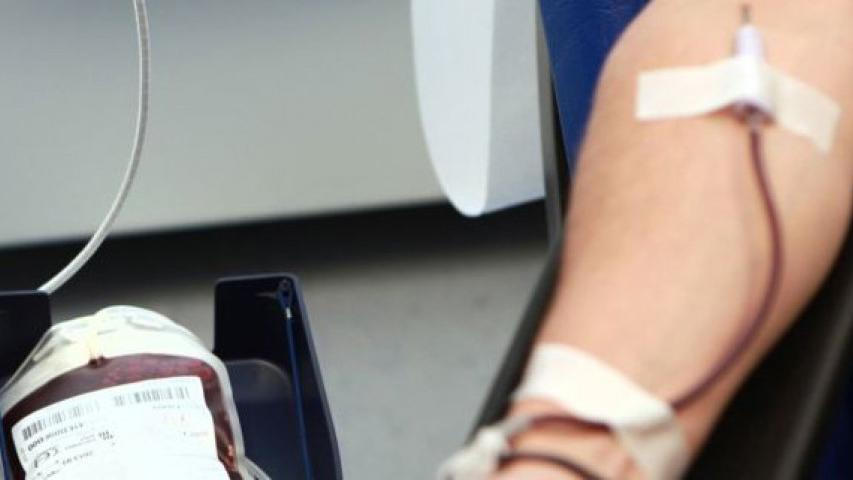 Akcije Društva dobrovoljnih davalaca krvi | Radio Televizija Budva