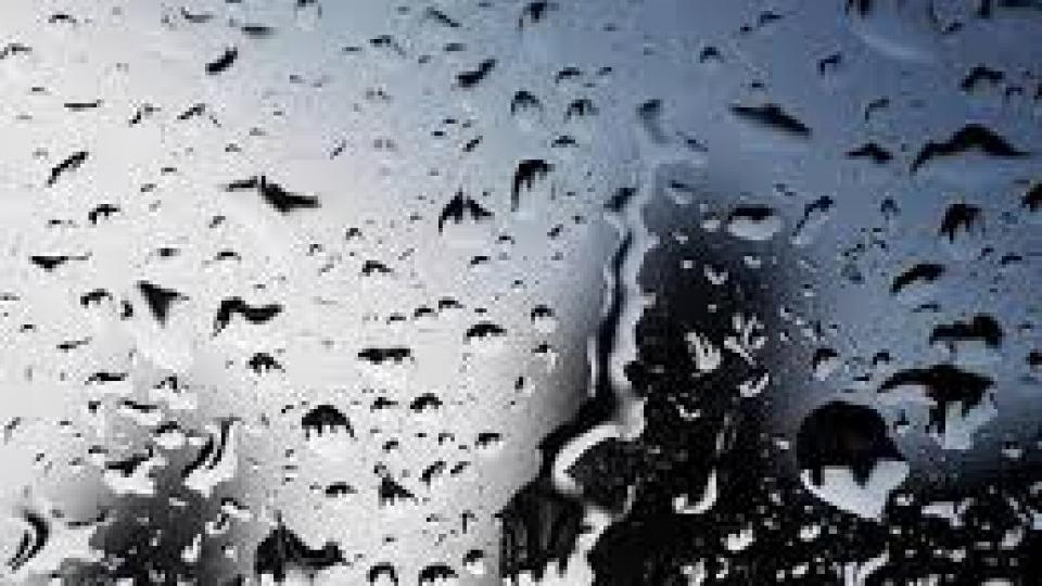 Sjutra kiša, sredinom dana razvedravanje | Radio Televizija Budva