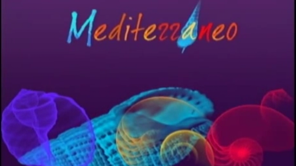 Emisija “Mediterraneo” - 10. decembar 2014. | Radio Televizija Budva