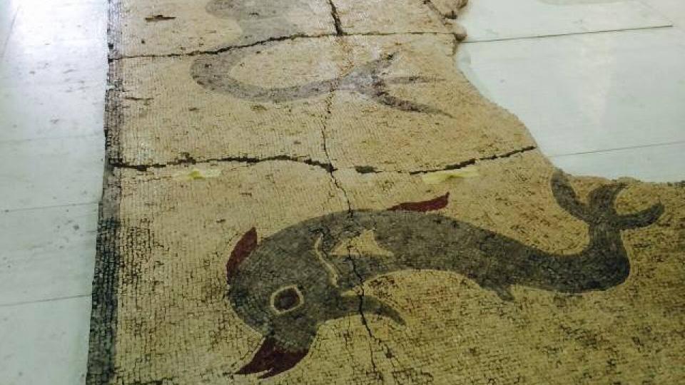 Antički mozaik | Radio Televizija Budva