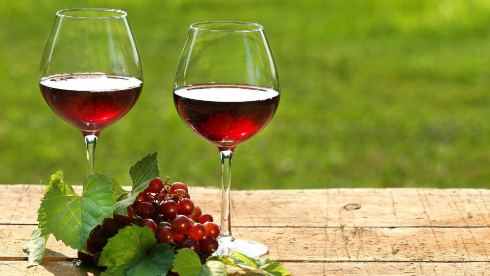 Grožđe i vino - hrana i lijek poručuju iz Društva za borbu protiv raka | Radio Televizija Budva
