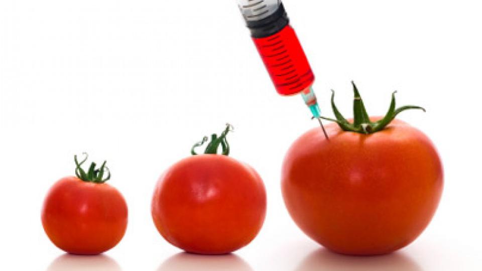 EU na korak da zabrani GMO | Radio Televizija Budva