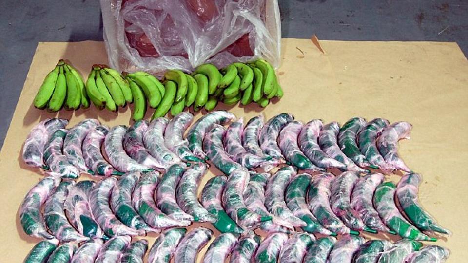 U prodavnici našli banane filovane kokainom | Radio Televizija Budva