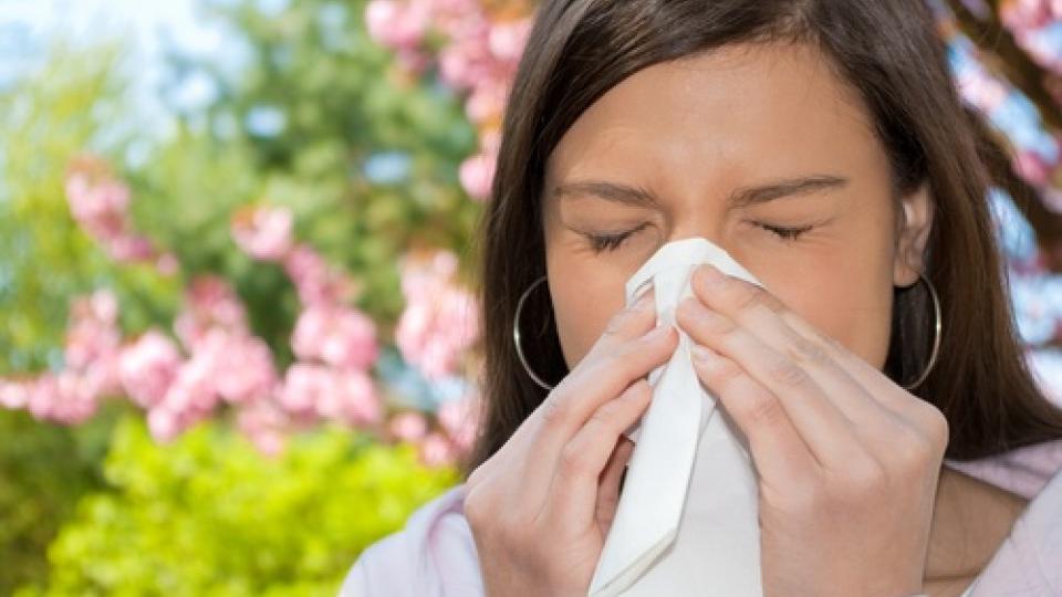 Prirodni lijek protiv alergije na polen | Radio Televizija Budva