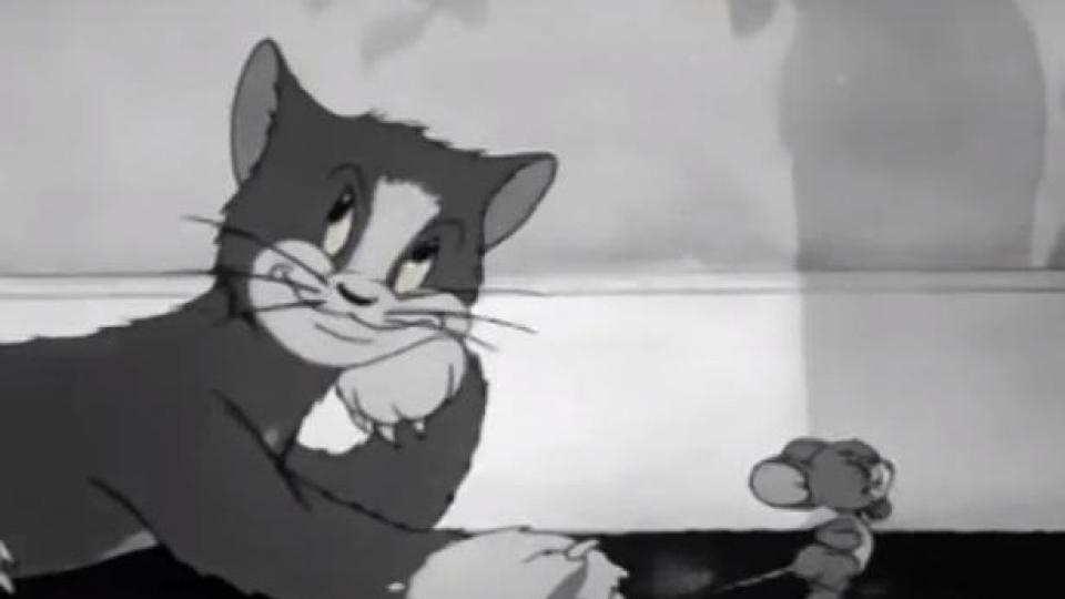 VIDEO: Crtani film Tom i Džeri, slavi 76. rođendan! Evo kako je izgledala prva epizoda! | Radio Televizija Budva