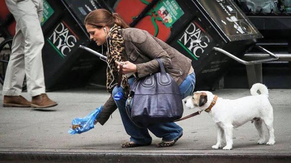 Švedska princeza očistila za psom na ulici | Radio Televizija Budva