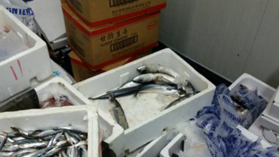 Loši vremenski uslovi uticali na prodaju ribe | Radio Televizija Budva