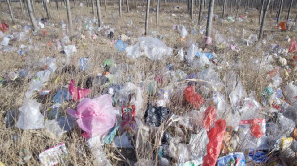 Crna Gora počinje bitku sa kesama od plastike | Radio Televizija Budva