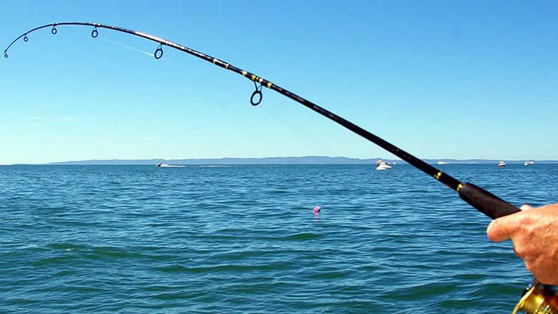 Budva: Državno takmičenje u ribolovu u nedjelju | Radio Televizija Budva