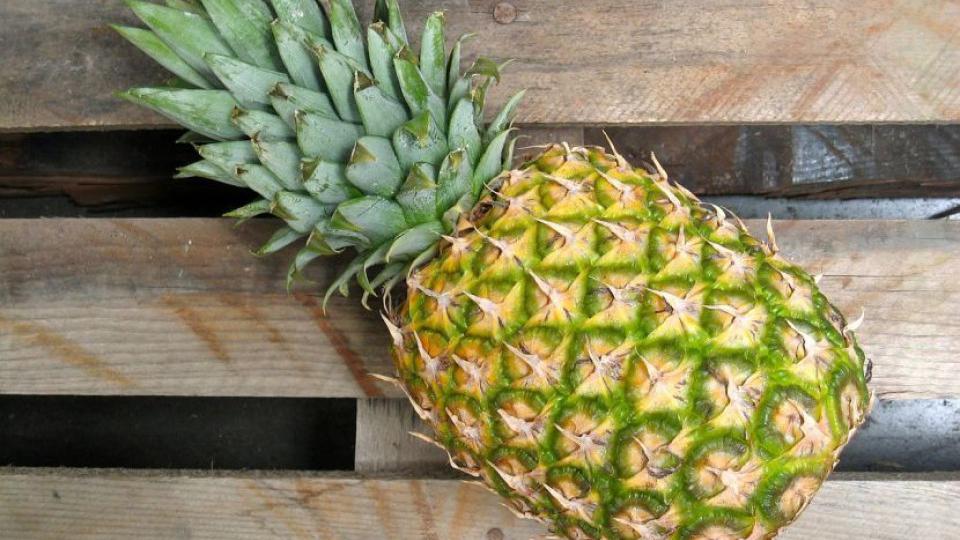 Prirodni eliksir mladosti: Ananas briše bore | Radio Televizija Budva