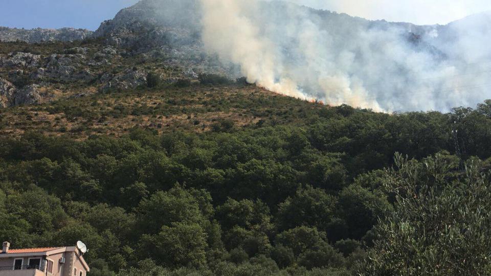 Požar u Paštrovskoj gori pod kontrolom | Radio Televizija Budva