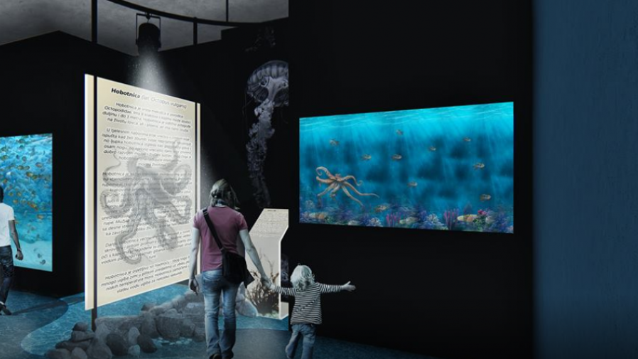 Institut za biologiju mora predstavio projekat rekonstrukcije prostora u kome će biti gradski akvarijum | Radio Televizija Budva