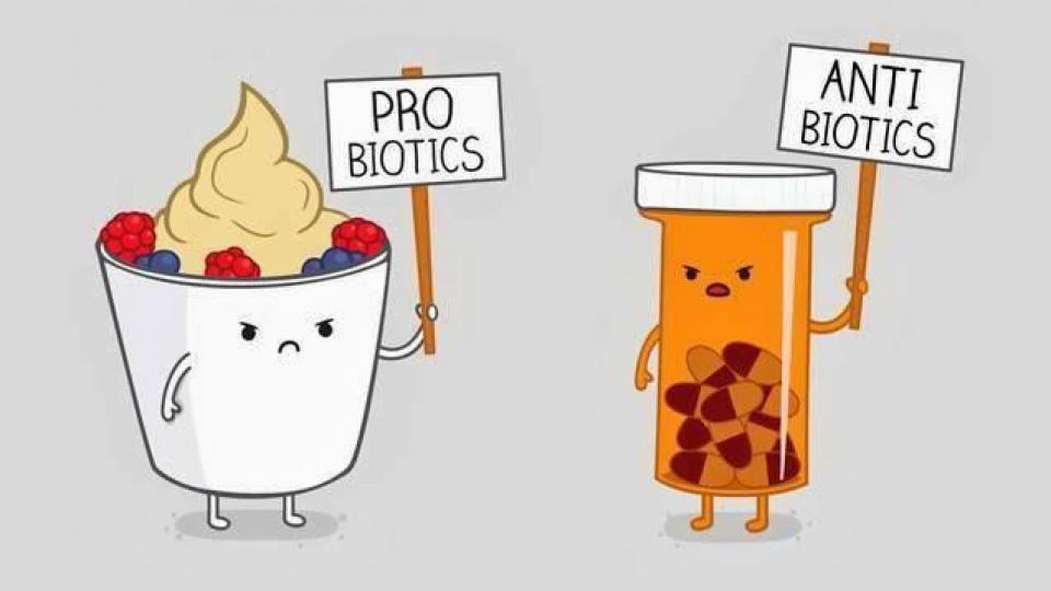 Velika zabluda: Naučnici otkrili da su probiotici skoro pa beskorisni | Radio Televizija Budva