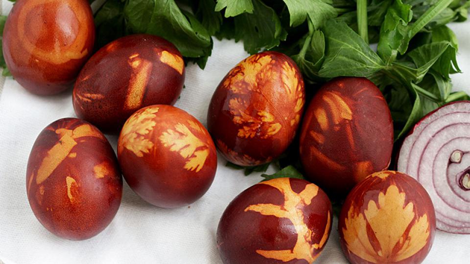 Farbanje jaja u lukovini- nezaobilazna i lijepa tradicija | Radio Televizija Budva