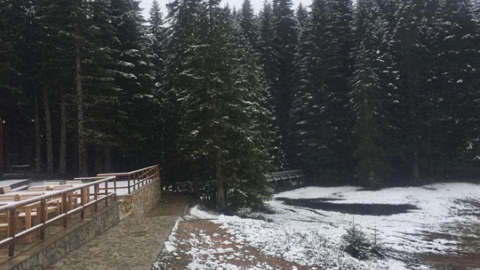 Snijeg na Žabljaku posljednjeg dana aprila | Radio Televizija Budva