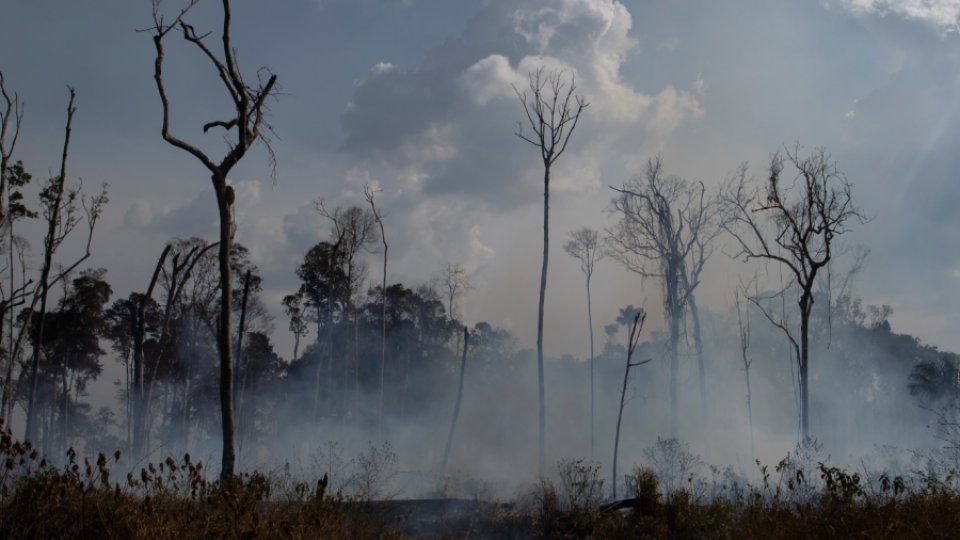 Brazil tvrdi:  Požari u Amazoniji nijesu pod kontrolom | Radio Televizija Budva