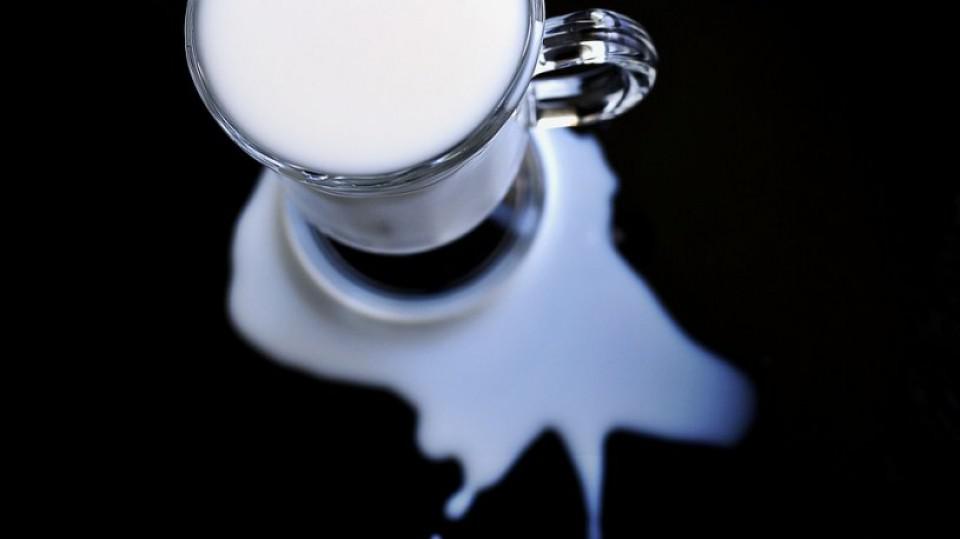 Bankrot najvećeg američkog proizvođača mlijeka nakon 94. godine poslovanja | Radio Televizija Budva