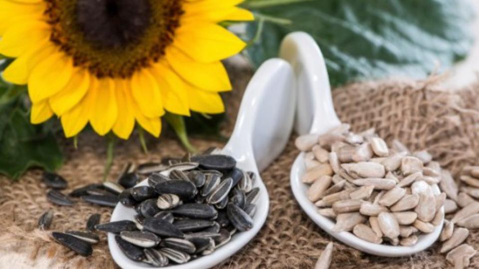 Šaka suncokretovih sjemenki za zdrav život | Radio Televizija Budva