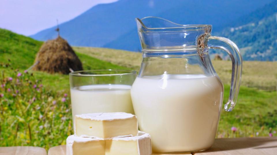 Otkupljeno više mlijeka nego prošle godine | Radio Televizija Budva