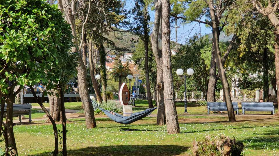Kao u svom dvorištu: Izležavanje na suncu u parku u centru Budve | Radio Televizija Budva
