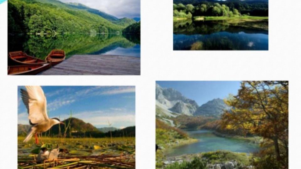 Besplatan ulaz u nacionalne parkove za osnovce od sredine aprila | Radio Televizija Budva
