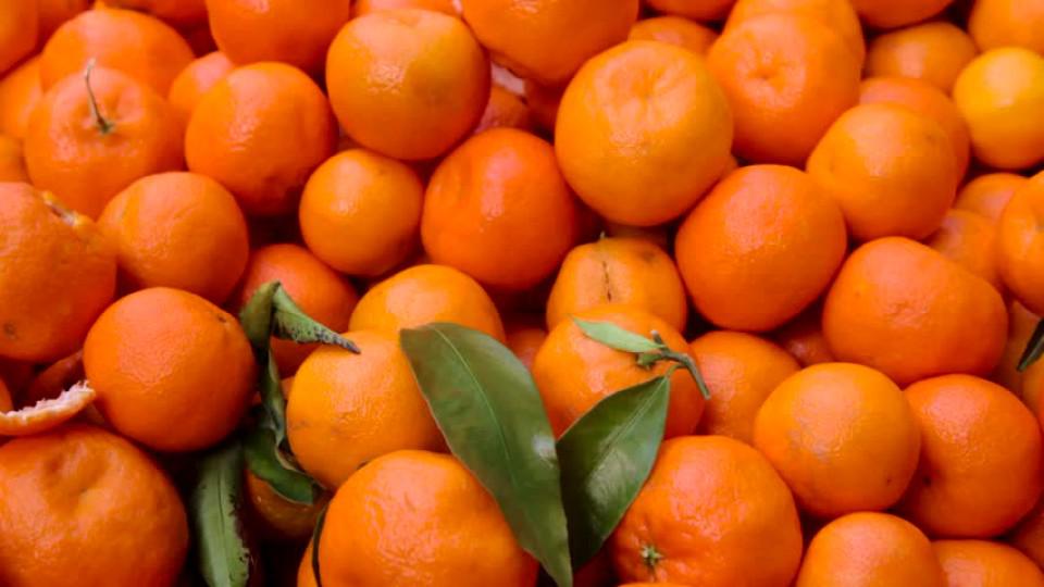 Šest razloga zašto mandarine treba jesti svaki dan | Radio Televizija Budva