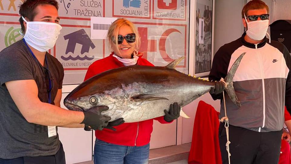 Humanost u Budvi polaže ispite: Ribari poklonili tunu Crvenom Krstu | Radio Televizija Budva